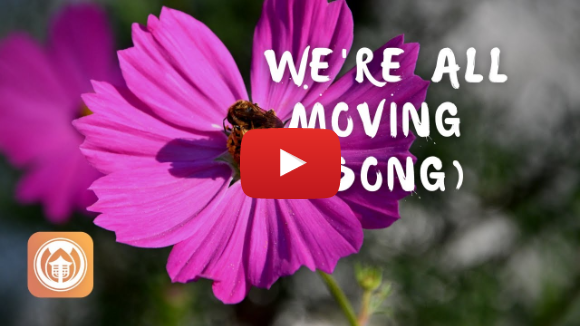 We're All Moving | Plum Village song