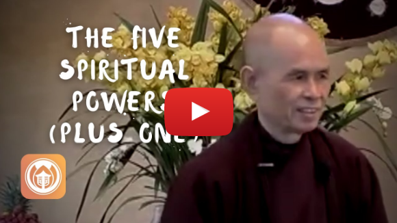 The Five Spiritual Powers (Plus One) | Thich Nhat Hanh (short teaching video)