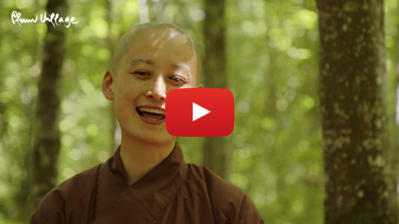 Mindful of Nature Part 3: Sister Linh Di Mindful of Nature Part 3: Sister Linh Di
