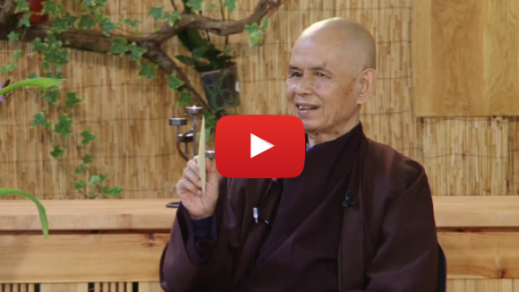 (2) I Don't Like the Idea of "No Birth and No Death" in Buddhism | Thich Nhat Hanh, 2014 06 21