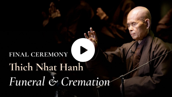 Thich Nhat Hanh Funeral & Cremation Day 8 | Live from Huế, Vietnam | 2022 01 29 Thich Nhat Hanh Funeral & Cremation Day 8 | Live from Huế, Vietnam | 2022 01 29