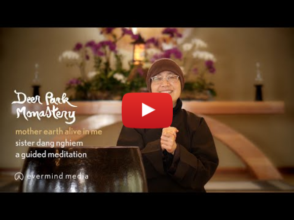 Mother Earth alive in me: a guided meditation by Sister Dang Nghiem